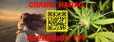 сатива Краснознаменск
