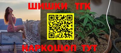 сатива Краснознаменск