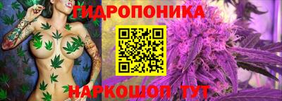 тгк Краснодар