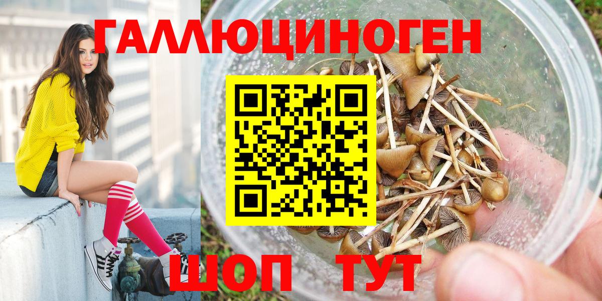 Псилоцибиновые грибы мухоморы Усть-Джегута
