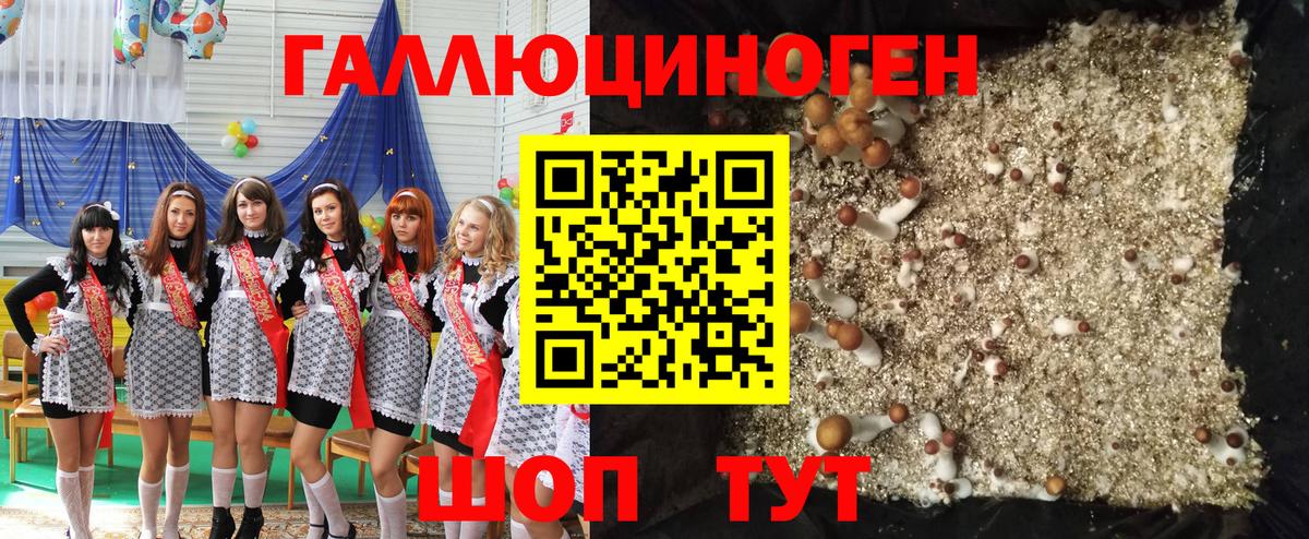 Псилоцибиновые грибы Magic Shrooms  Вход с VPN  Псилоцибиновые грибы прущие грибы  Усть-Джегута 